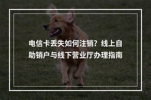 电信卡丢失如何注销？线上自助销户与线下营业厅办理指南