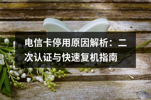 电信卡停用原因解析：二次认证与快速复机指南