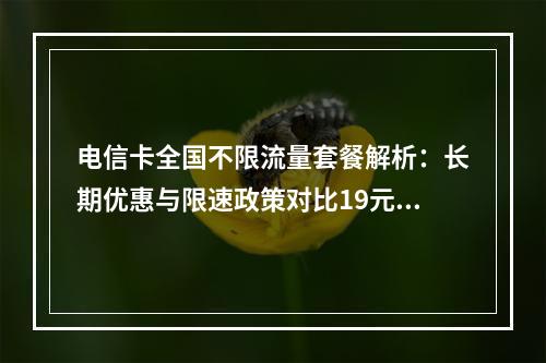 电信卡全国不限流量套餐解析：长期优惠与限速政策对比19元起