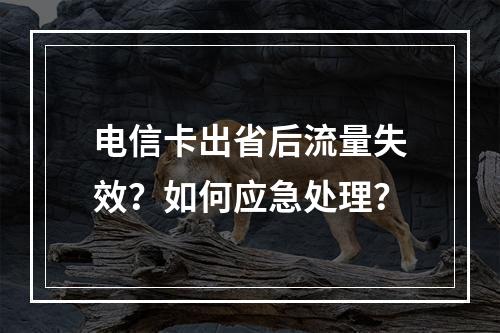 电信卡出省后流量失效？如何应急处理？