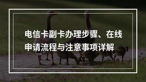 电信卡副卡办理步骤、在线申请流程与注意事项详解