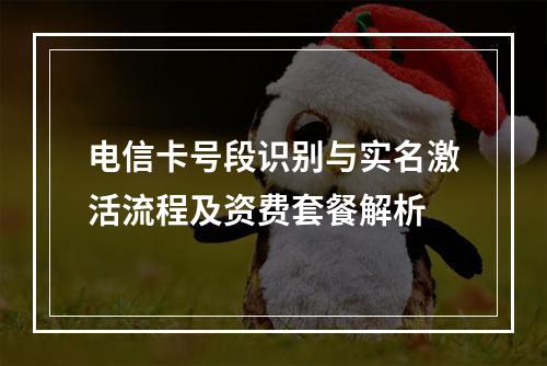 电信卡号段识别与实名激活流程及资费套餐解析