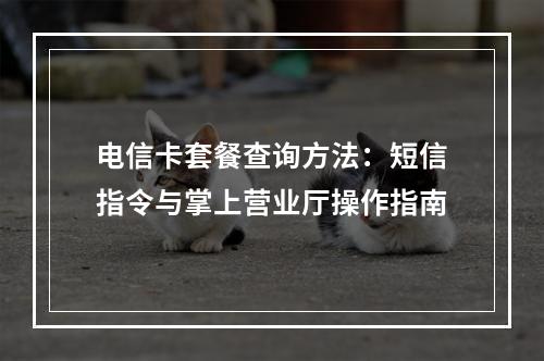 电信卡套餐查询方法：短信指令与掌上营业厅操作指南