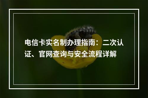 电信卡实名制办理指南：二次认证、官网查询与安全流程详解