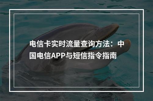 电信卡实时流量查询方法：中国电信APP与短信指令指南