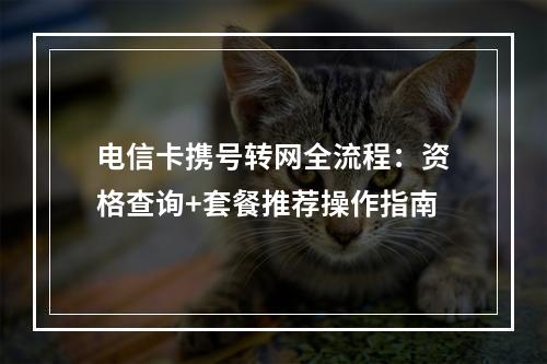 电信卡携号转网全流程：资格查询+套餐推荐操作指南