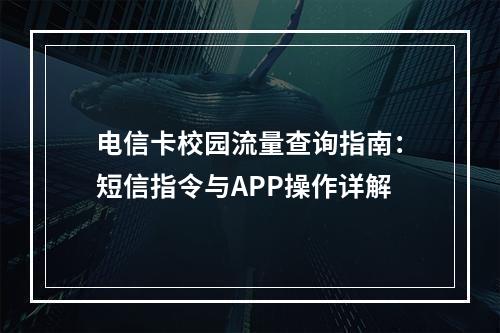 电信卡校园流量查询指南：短信指令与APP操作详解