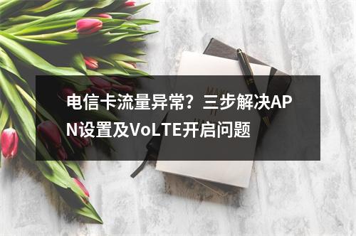 电信卡流量异常？三步解决APN设置及VoLTE开启问题