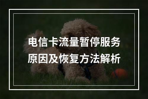 电信卡流量暂停服务原因及恢复方法解析