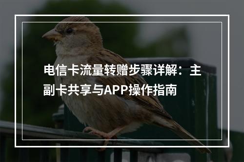 电信卡流量转赠步骤详解：主副卡共享与APP操作指南