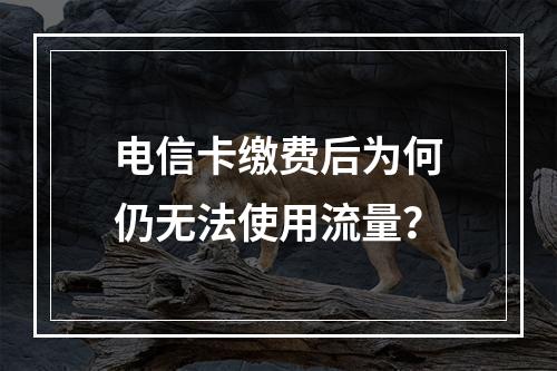 电信卡缴费后为何仍无法使用流量？