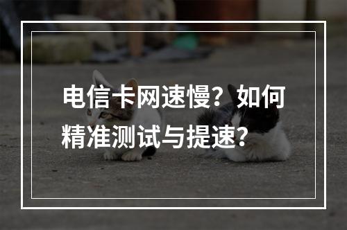 电信卡网速慢？如何精准测试与提速？