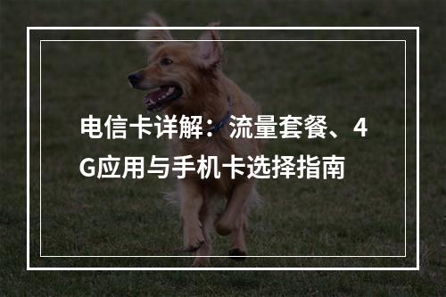 电信卡详解：流量套餐、4G应用与手机卡选择指南
