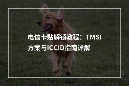 电信卡贴解锁教程：TMSI方案与ICCID指南详解