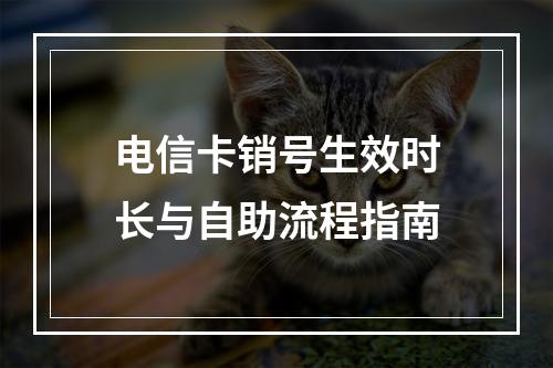 电信卡销号生效时长与自助流程指南