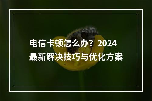 电信卡顿怎么办？2024最新解决技巧与优化方案