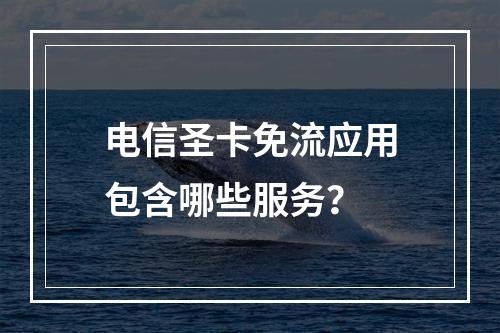 电信圣卡免流应用包含哪些服务？