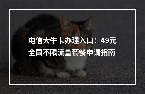 电信大牛卡办理入口：49元全国不限流量套餐申请指南
