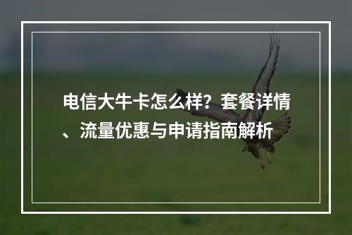 电信大牛卡怎么样？套餐详情、流量优惠与申请指南解析