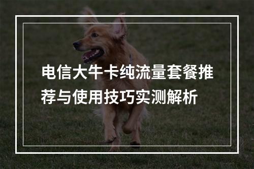 电信大牛卡纯流量套餐推荐与使用技巧实测解析