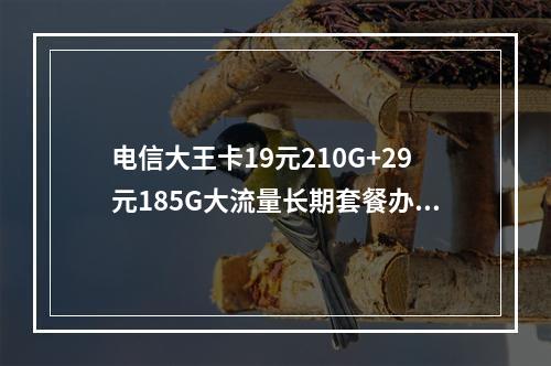电信大王卡19元210G+29元185G大流量长期套餐办理指南