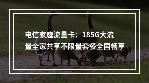电信家庭流量卡：185G大流量全家共享不限量套餐全国畅享