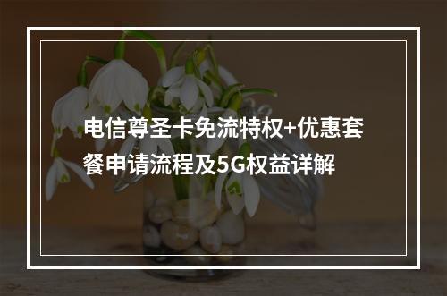 电信尊圣卡免流特权+优惠套餐申请流程及5G权益详解