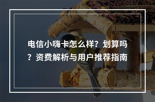 电信小嗨卡怎么样？划算吗？资费解析与用户推荐指南
