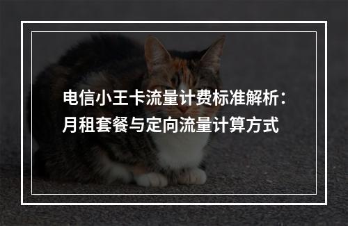 电信小王卡流量计费标准解析：月租套餐与定向流量计算方式