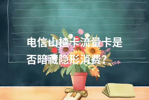 电信山楂卡流量卡是否暗藏隐形消费？