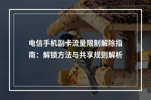 电信手机副卡流量限制解除指南：解锁方法与共享规则解析