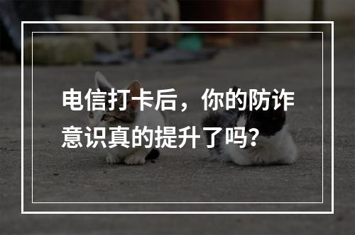 电信打卡后，你的防诈意识真的提升了吗？