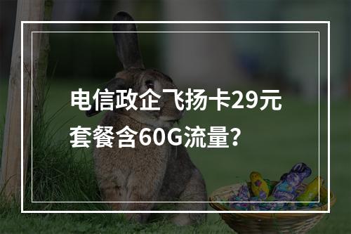 电信政企飞扬卡29元套餐含60G流量？