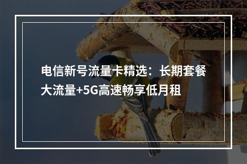 电信新号流量卡精选：长期套餐大流量+5G高速畅享低月租