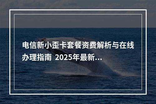 电信新小歪卡套餐资费解析与在线办理指南  2025年最新优惠