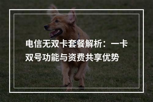 电信无双卡套餐解析：一卡双号功能与资费共享优势