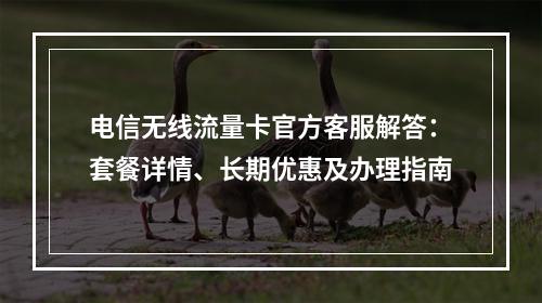 电信无线流量卡官方客服解答：套餐详情、长期优惠及办理指南