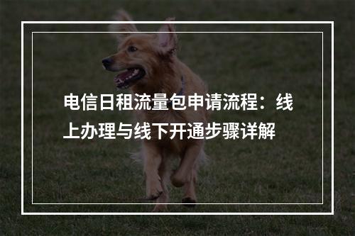 电信日租流量包申请流程：线上办理与线下开通步骤详解