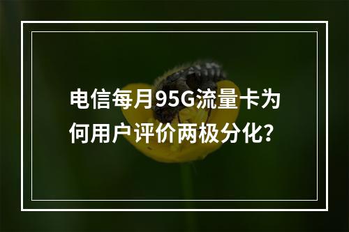 电信每月95G流量卡为何用户评价两极分化？