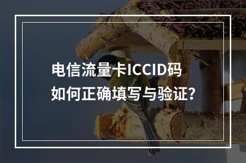 电信流量卡ICCID码如何正确填写与验证？