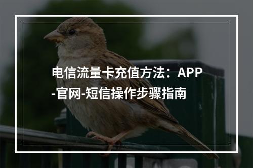 电信流量卡充值方法：APP-官网-短信操作步骤指南