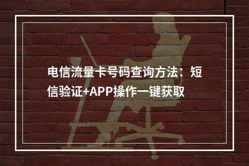 电信流量卡号码查询方法：短信验证+APP操作一键获取