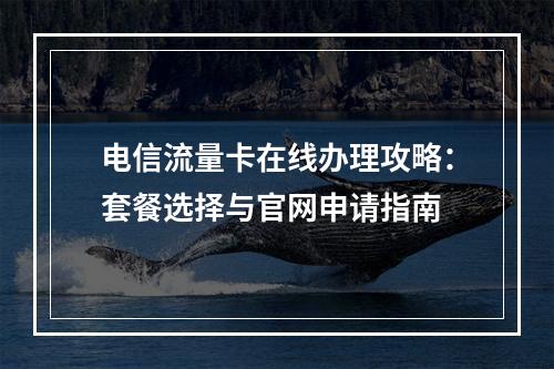 电信流量卡在线办理攻略：套餐选择与官网申请指南