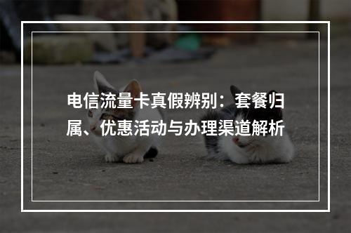 电信流量卡真假辨别：套餐归属、优惠活动与办理渠道解析