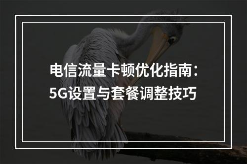 电信流量卡顿优化指南：5G设置与套餐调整技巧