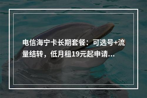 电信海宁卡长期套餐：可选号+流量结转，低月租19元起申请攻略