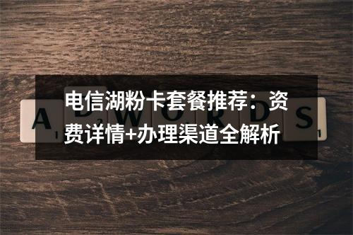 电信湖粉卡套餐推荐：资费详情+办理渠道全解析