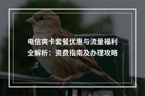 电信爽卡套餐优惠与流量福利全解析：资费指南及办理攻略