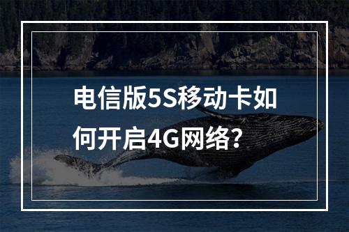 电信版5S移动卡如何开启4G网络？