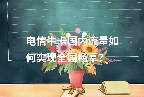 电信牛卡国内流量如何实现全国畅享？